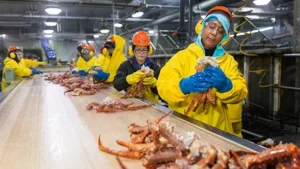 workers on the line at Trident Seafoods