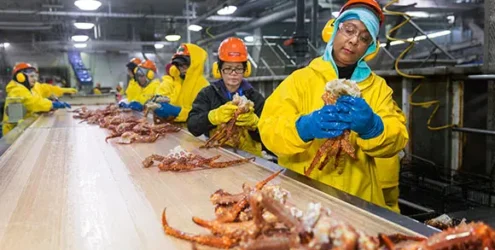 workers on the line at Trident Seafoods