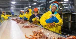 workers on the line at Trident Seafoods