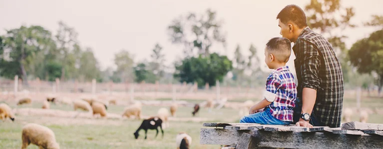 father and young son sit in a farm field looking at their sheep and goats